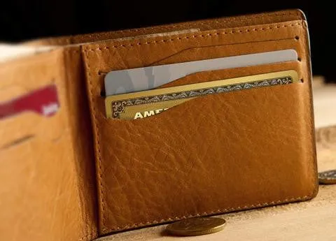 Dollar Leather Wallet